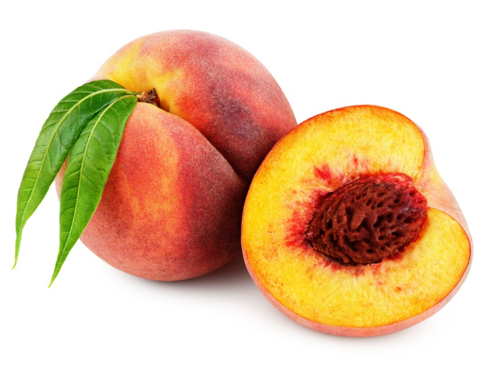 how to grow a peach tree from seed