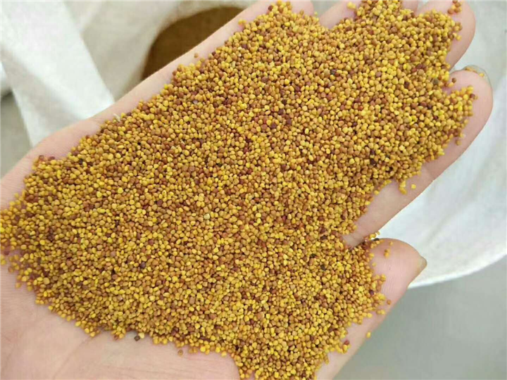 how to plant grass seed on existing lawn