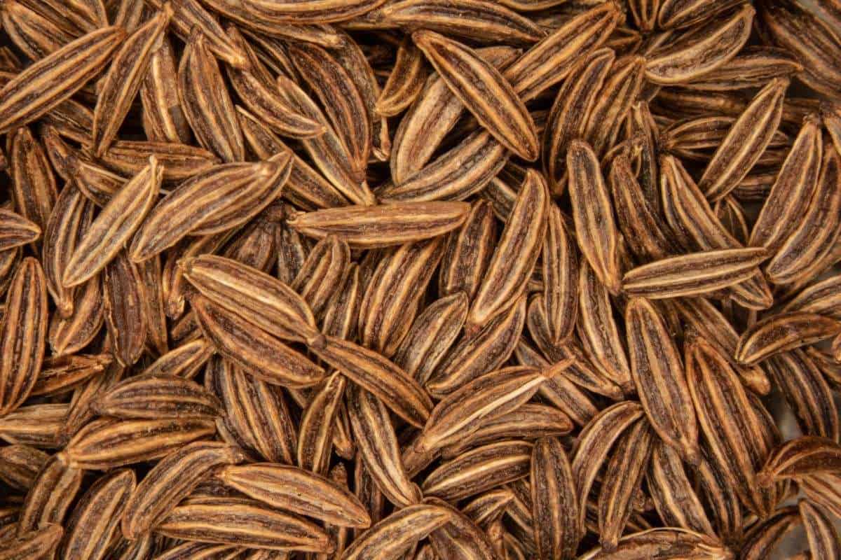 coriander seed substitute