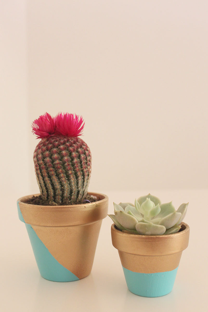 diy painted flower pots