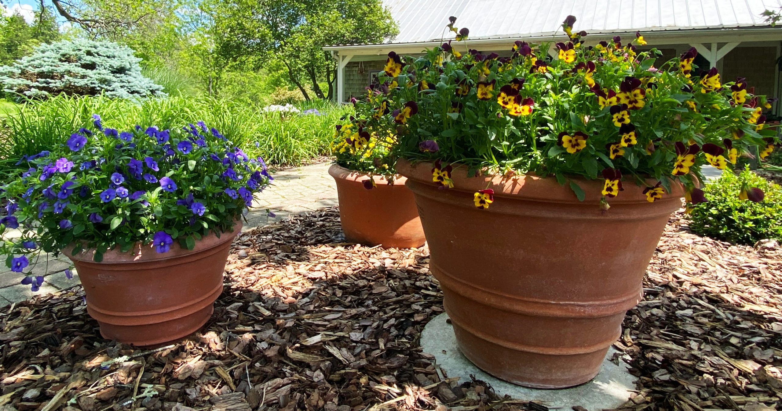 using pots in flower beds