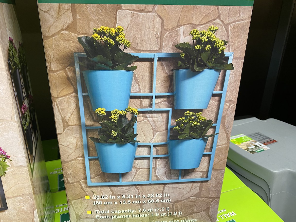 aldi flower pots