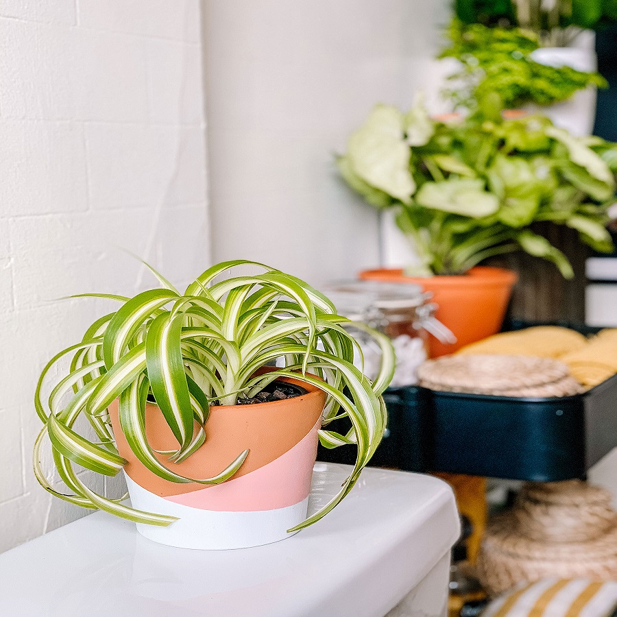 how to paint clay flower pots